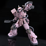 HG MS-06D Zaku Desert Type [Pink Panther Forces] (Jun)