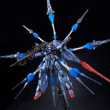 MG ZGMF-X13A Providence Gundam [Special Coating] (Jan)