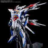 MG Maneuver Striker Pack for Eclipse Gundam