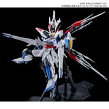 MG Maneuver Striker Pack for Eclipse Gundam